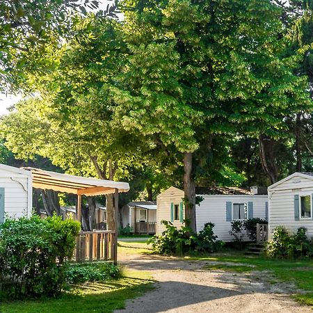 Camping Les Avignon - La Laune Villeneuve-lès-Avignon Kültér fotó