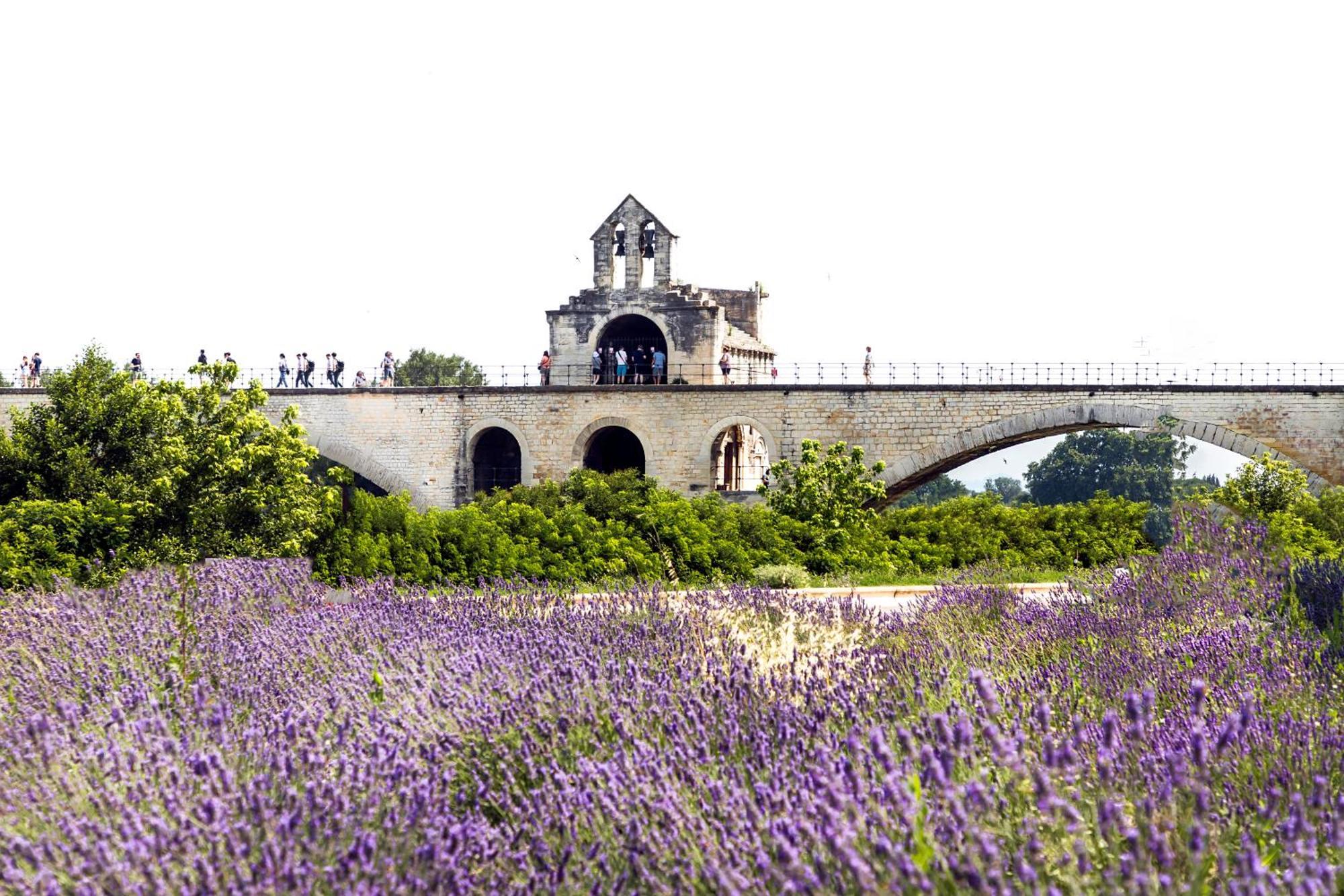 Camping Les Avignon - La Laune Villeneuve-lès-Avignon Kültér fotó