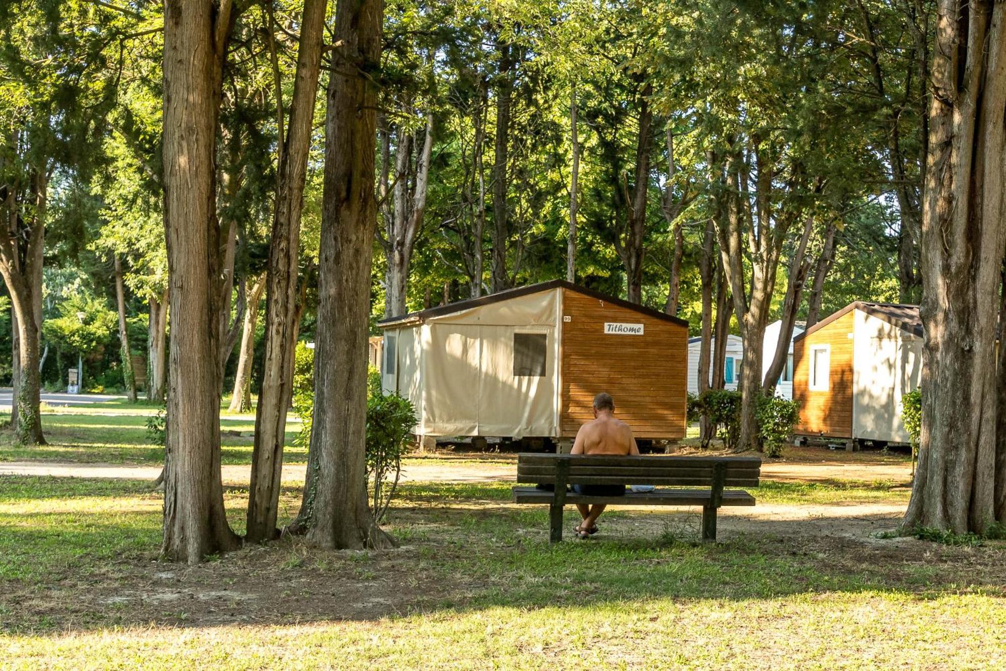 Camping Les Avignon - La Laune Villeneuve-lès-Avignon Kültér fotó